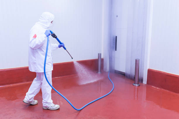 Best Paint Preparation  in Ocean Springs, MS